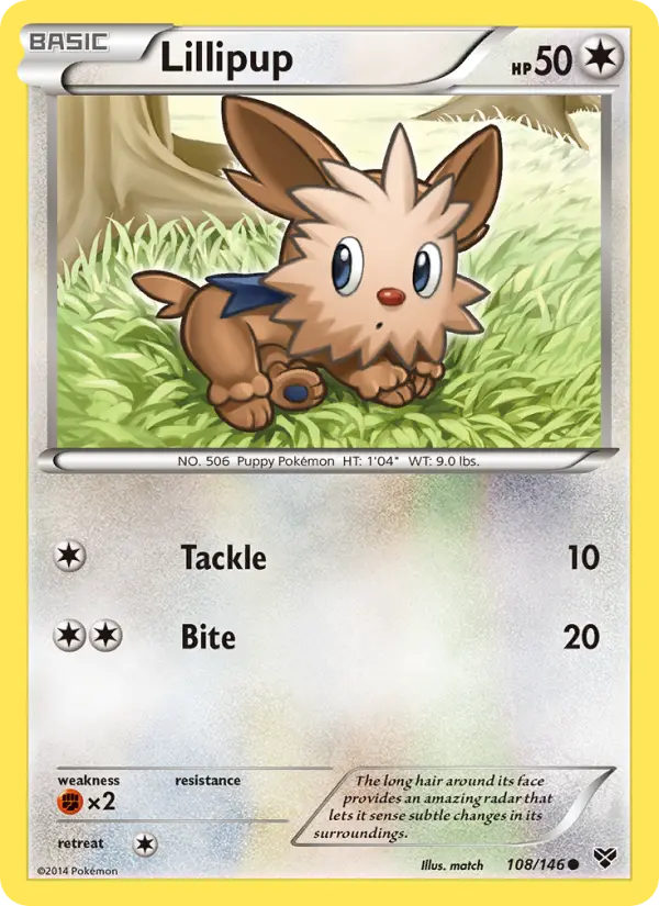 Lillipup - XY Pokemon Card