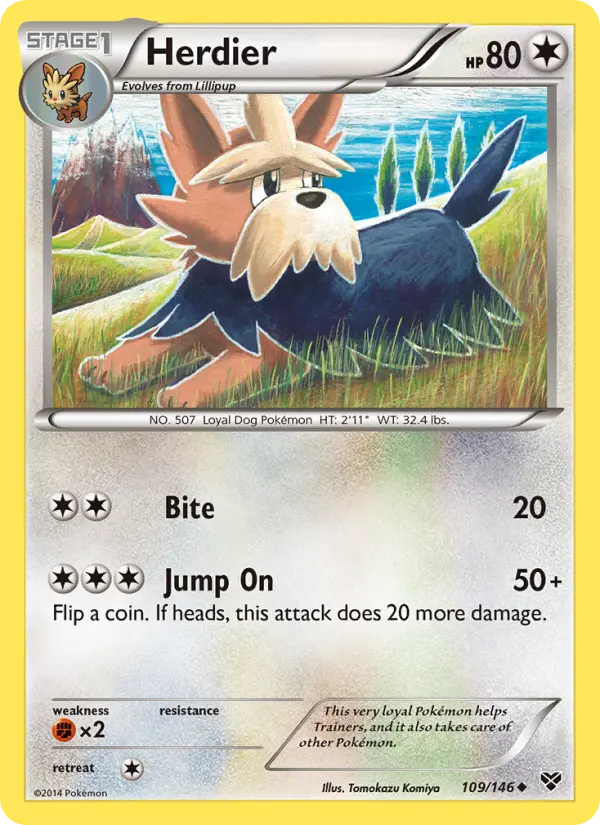 Herdier - XY Pokemon Card