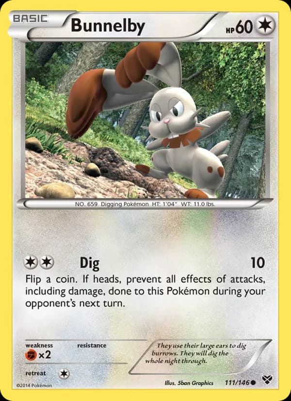 Bunnelby - XY Pokemon Card