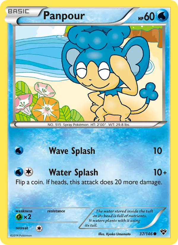 Panpour - XY Pokemon Card