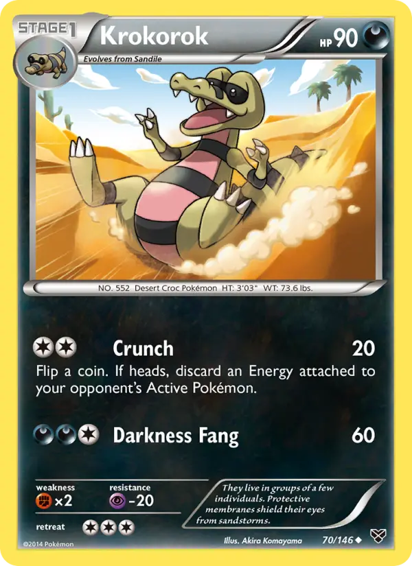 Krokorok - XY Pokemon Card