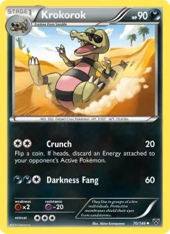Krokorok - XY