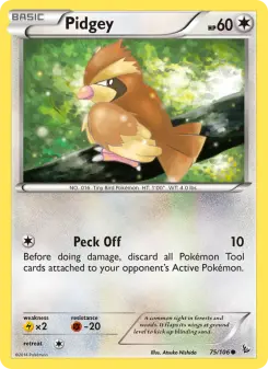 Pidgey - Flashfire