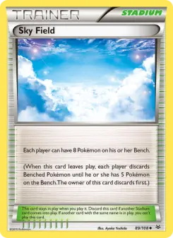 Sky Field - Roaring Skies